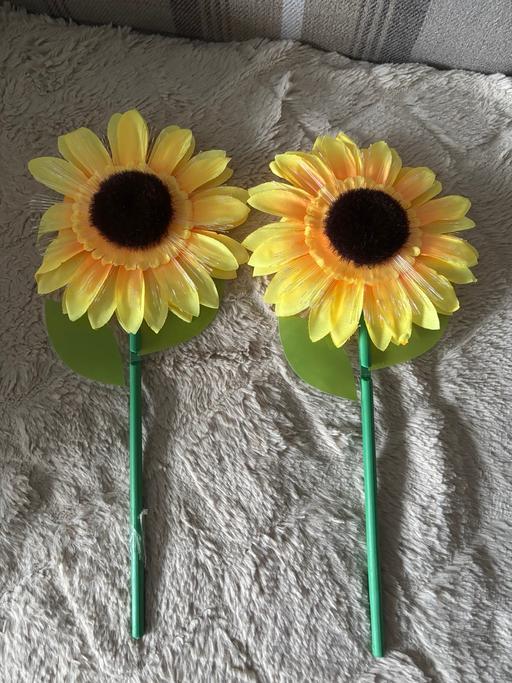 Buy & Sell Golds Hill Sandwell - Photos for Sunflowers