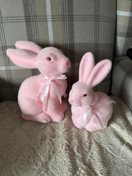 Buy & Sell Golds Hill Sandwell - Photos for Easter Bunnies