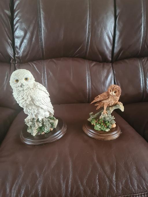 Buy & Sell Hasbury Dudley - Photos for country artists owl figures x 4