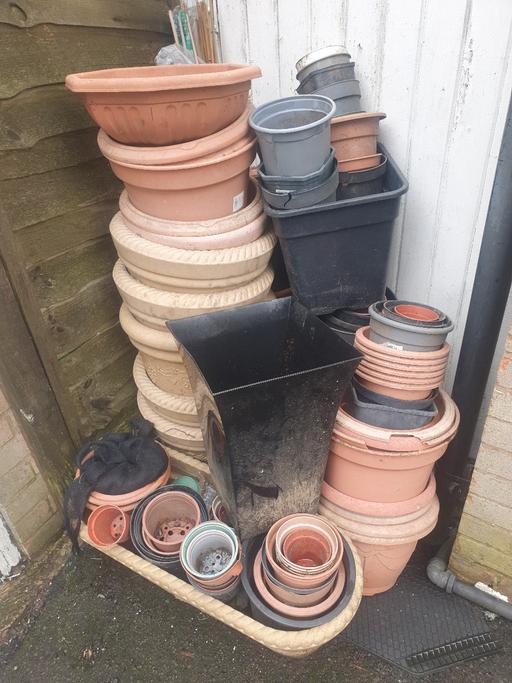 Buy & Sell Gornal Wood Dudley - Photos for Joblot Of Pots, Planters & Canes , Decent.