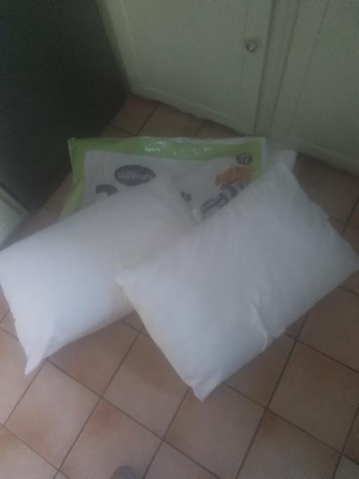 Buy & Sell Aldridge Walsall - Photos for TWO SILENTNIGHT CUSHIONS