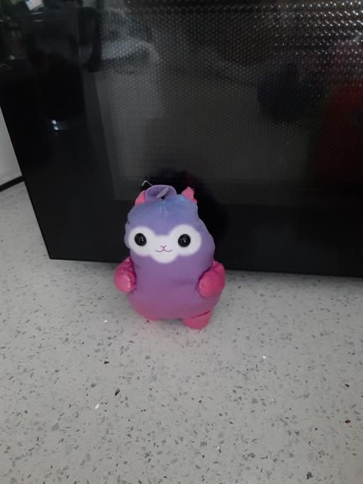 Buy & Sell South Hylton Sunderland - Photos for purse