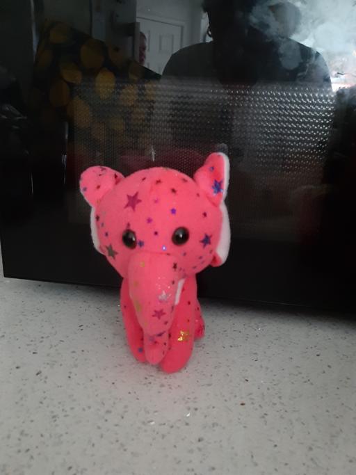 Buy & Sell South Hylton Sunderland - Photos for toy