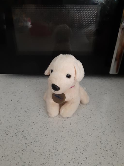 Buy & Sell South Hylton Sunderland - Photos for toy