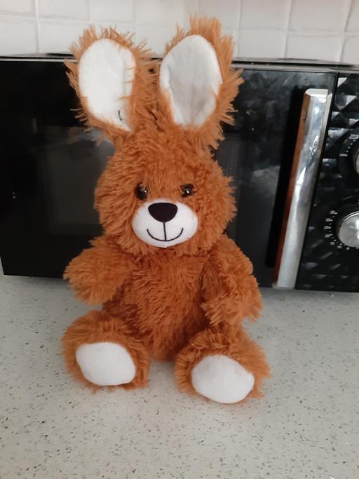 Buy & Sell South Hylton Sunderland - Photos for bunny