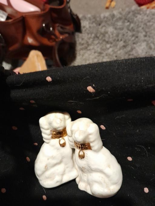 Buy & Sell Hurst Business Park Dudley - Photos for small dogs market bottom