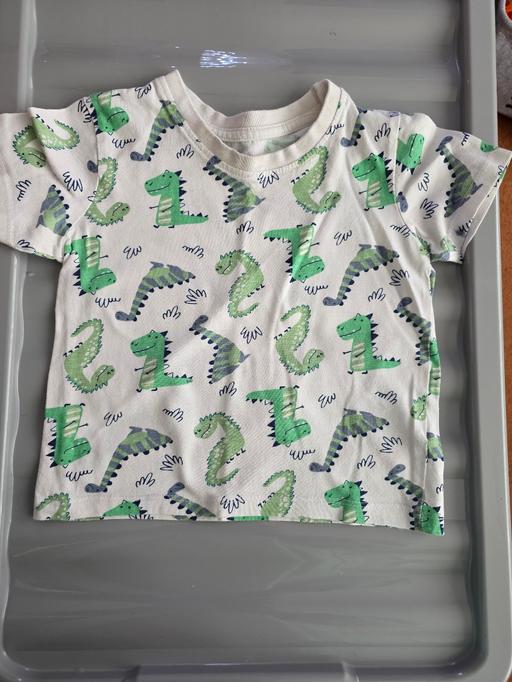 Buy & Sell Blackpool Town Centre Blackpool - Photos for Dinosaur t shirt age 18-24 mths