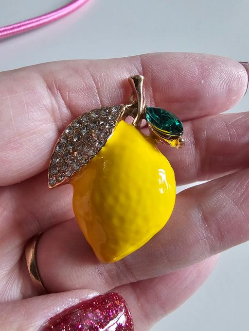 Buy & Sell Pilsley North East Derbyshire - Photos for lemon brooch