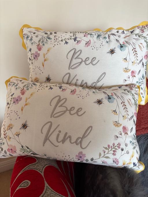 Buy & Sell Minehead Somerset - Photos for 2 X Cushions Nut Meg