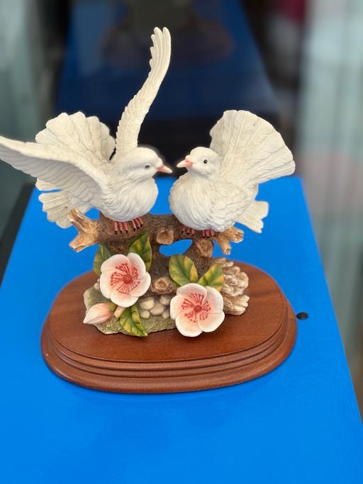 Buy & Sell Sunnybrow County Durham - Photos for Leonardo collection DOVES