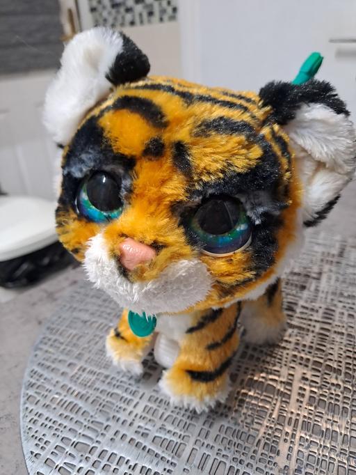 Buy & Sell Park Hill Sheffield - Photos for interactive lion cub