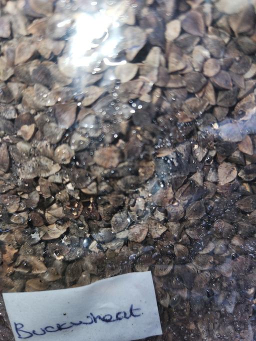 Buy & Sell Upper Gornal Dudley - Photos for unprepared buckwheat 800g