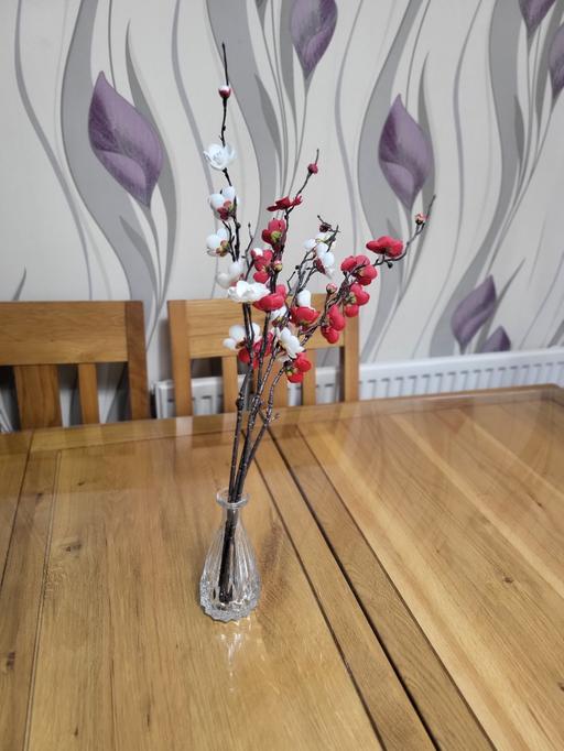 Buy & Sell Healey Rochdale - Photos for Next. Artificial silk blossom stems with Vas