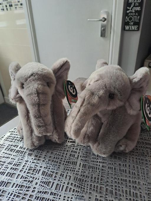 Buy & Sell Gleadless Valley Sheffield - Photos for 2 brandnew elephants