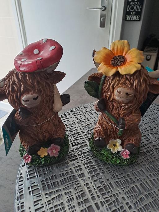 Buy & Sell Gleadless Valley Sheffield - Photos for pairs garden highland cows