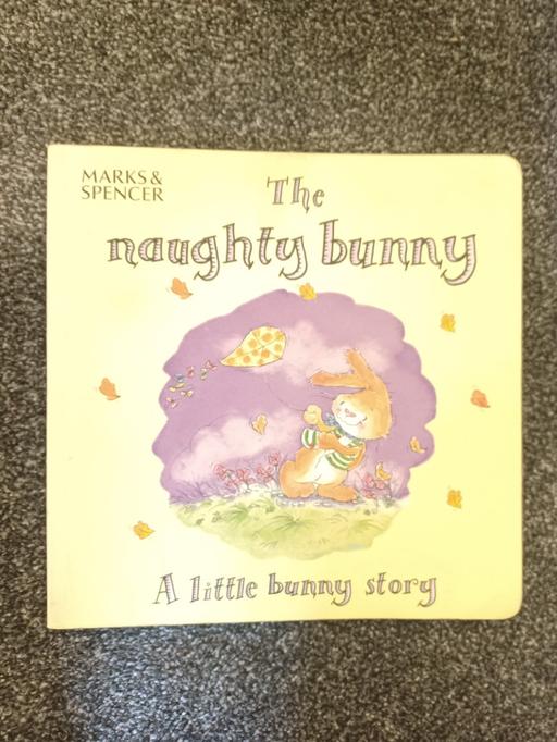 Buy & Sell Eckington North East Derbyshire - Photos for the naughty bunny paperback book