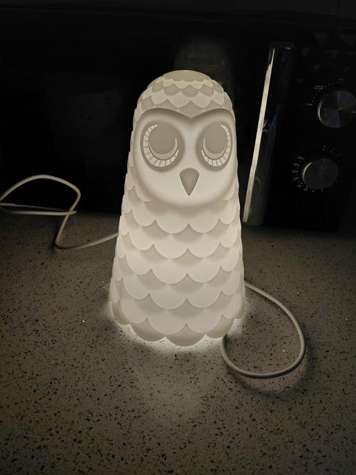 Buy & Sell South Hylton Sunderland - Photos for bargain owl lamp