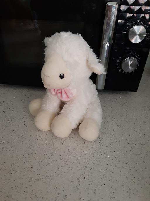 Buy & Sell South Hylton Sunderland - Photos for lamb