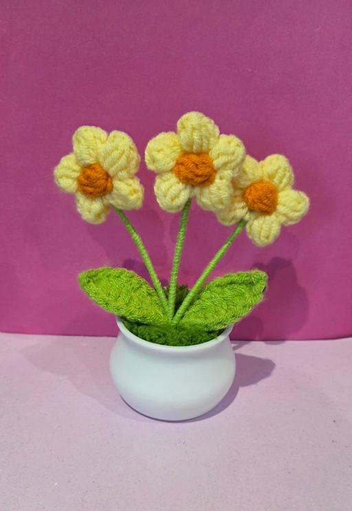 courses Westgate-on-Sea Thanet - Photos for 