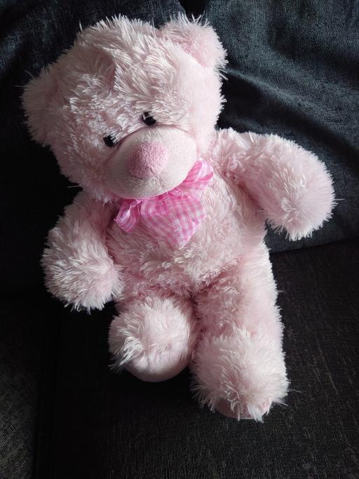 Buy & Sell Woodthorpe Charnwood - Photos for Pink teddy bear soft toy