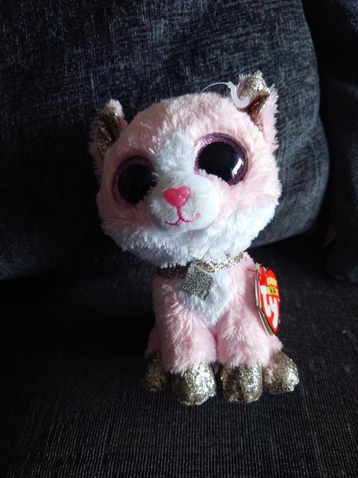Buy & Sell Woodthorpe Charnwood - Photos for TY cat beanie Amaya soft toy