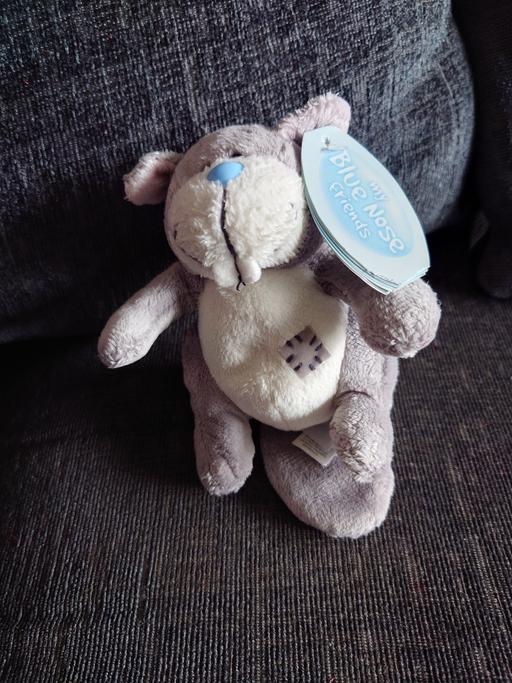 Buy & Sell Woodthorpe Charnwood - Photos for My blue nose friends - buck soft toy
