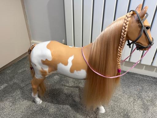 Buy & Sell Aldridge Walsall - Photos for Our Generation Doll