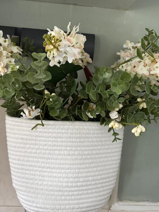 Buy & Sell Bartley Green Birmingham - Photos for Hanging basket and flowers