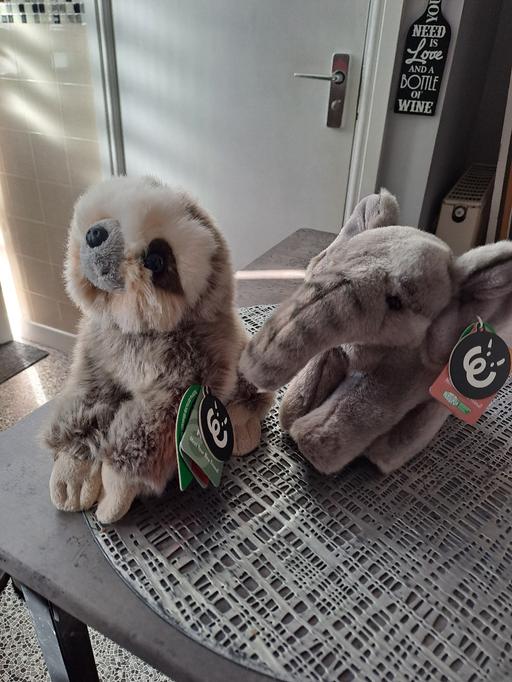 Buy & Sell Park Hill Sheffield - Photos for sloth and nelly