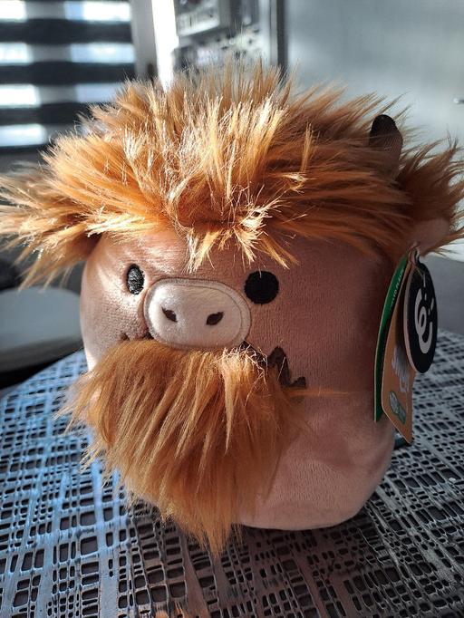 Buy & Sell Gleadless Valley Sheffield - Photos for highland plush