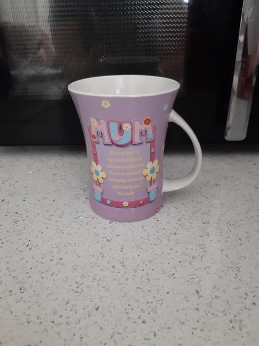 Buy & Sell South Hylton Sunderland - Photos for cup