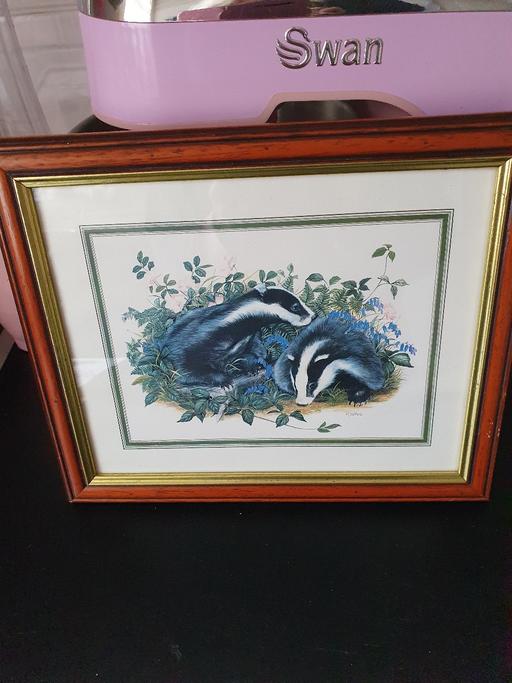 Buy & Sell Upper Gornal Dudley - Photos for wildlife picture