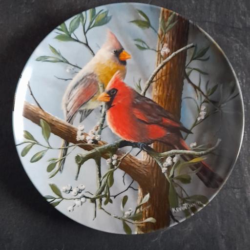 Buy & Sell Bamber Bridge South Ribble - Photos for VINTAGE COLLECTORS DISPLAY PLATE