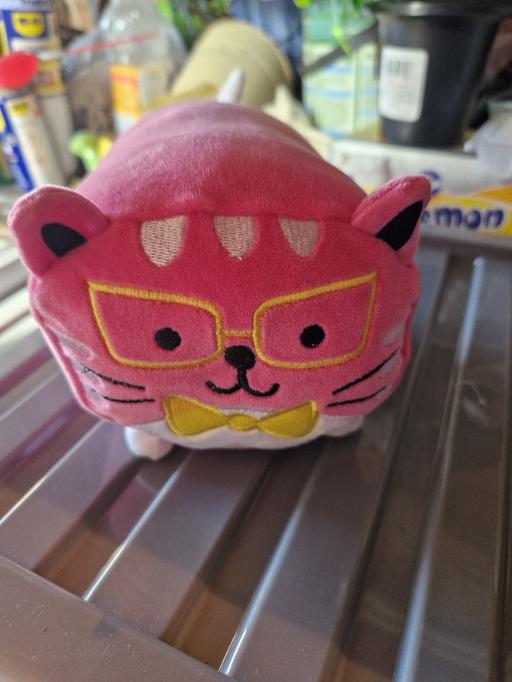 Buy & Sell Ramsgate Thanet - Photos for bnwot cat soft toy