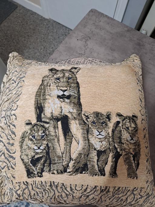 Buy & Sell Park Hill Sheffield - Photos for lion cushion