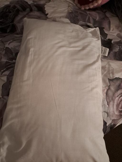Buy & Sell Park Hill Sheffield - Photos for new bed pillow