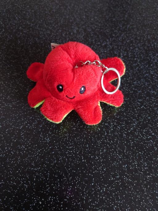 Buy & Sell Woodthorpe Charnwood - Photos for Reversible octopus keyring