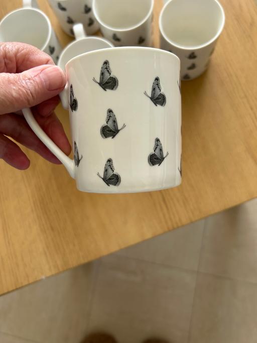 Buy & Sell Halsnead Park Knowsley - Photos for 6 butterfly cups