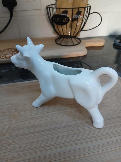 Buy & Sell Radcliffe Bury - Photos for Milk Jug Used As Decor