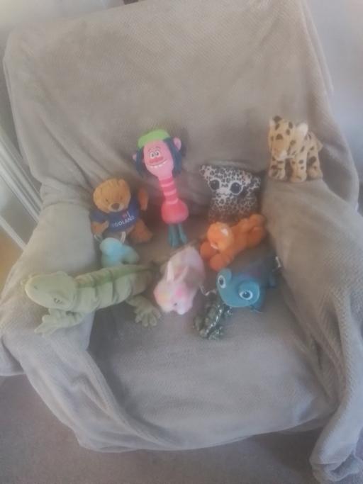 Buy & Sell Streetly Walsall - Photos for COLLECTI9N OF SOFT TOYS