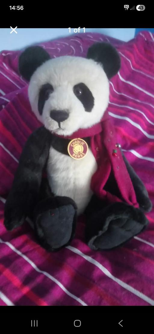 Buy & Sell Pickering North Yorkshire - Photos for Chopstix Charlie bear