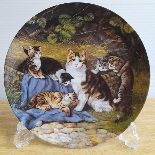 Buy & Sell Preston South Ribble - Photos for COLLECTORS DISPLAY PLATE