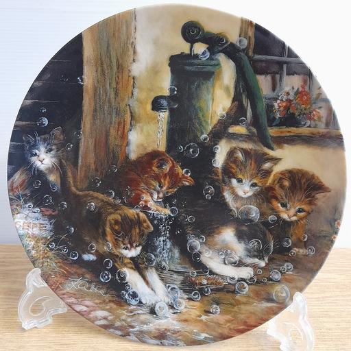 Buy & Sell Bamber Bridge South Ribble - Photos for COLLECTOR'S DISPLAY PLATE 