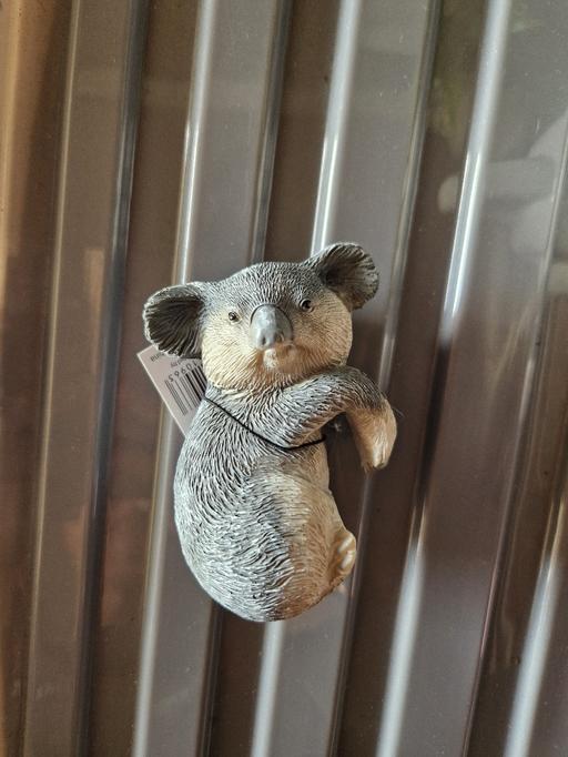 Buy & Sell Ramsgate Thanet - Photos for bn Koala pot hanger