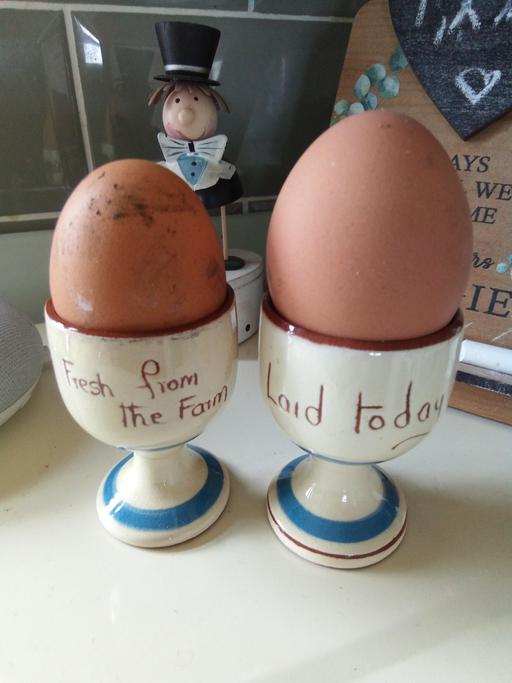 Buy & Sell Wetwang East Riding of Yorkshire - Photos for 2 x Torquay Watcombe pottery egg cups