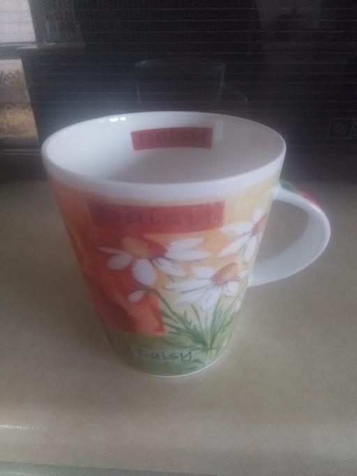 Buy & Sell Streetly Walsall - Photos for BRAND NEW ROSE OF ENGLAND DAISY MUG