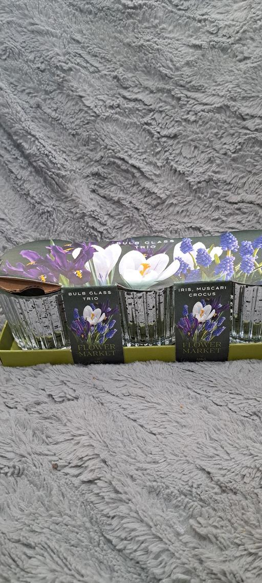 Buy & Sell Sutton Coldfield Birmingham - Photos for M&S Bulb glass trio flowers