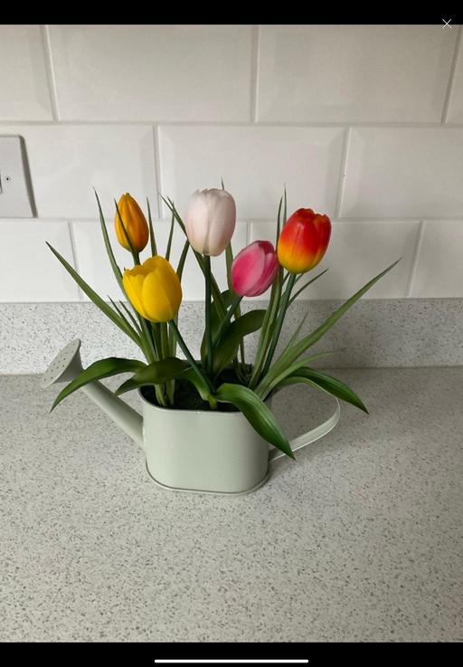 Buy & Sell Telford Way Industrial Estate North Northamptonshire - Photos for Next faux flowers 🌺 in metal watering can