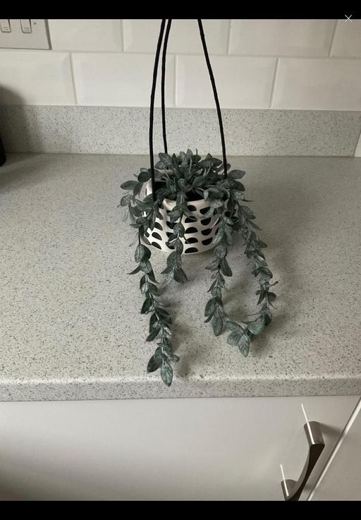 Buy & Sell Telford Way Industrial Estate North Northamptonshire - Photos for Next artificial hanging plant