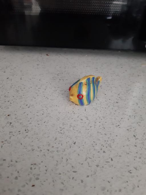 Buy & Sell South Hylton Sunderland - Photos for fish